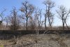 Перспективная ООПТ Мыс Любви