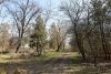 Перспективная зелёная зона в г.Приморско-Ахтарске (17)