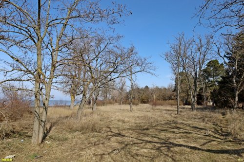 Перспективная зелёная зона в г.Приморско-Ахтарске (17)