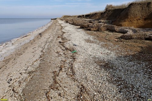Перспективная ООПТ (дополнительная) Морозовский берег Азовского моря