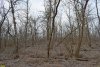 Перспективная ООПТ Бородинский колок