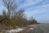Перспективная ООПТ Бородинский колок