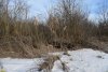 Перспективная ООПТ Бородинский колок