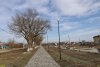 Перспективная зелёная зона в станице Бородинской (3)