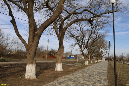 Перспективная зелёная зона в станице Бородинской (3)