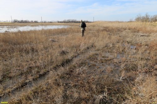 Перспективная ООПТ Солончаковое озеро