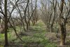 Перспективная ООПТ Солончаковое озеро