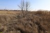 Перспективная ООПТ (дополнительная) Балка Шамраи (средняя часть)