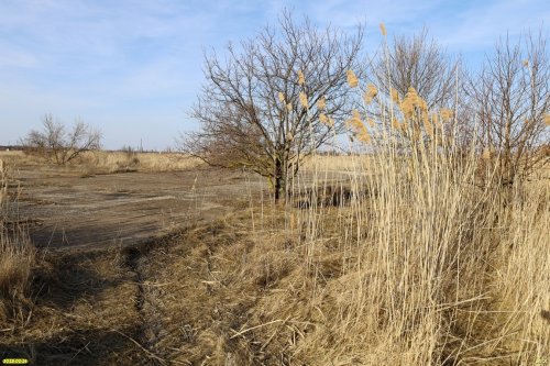 Перспективная ООПТ (дополнительная) Балка Шамраи (нижняя часть)