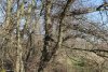Перспективная зелёная зона в г.Приморско-Ахтарске (20)