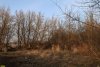 Перспективная зелёная зона в г.Приморско-Ахтарске (8)