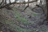 Перспективная зелёная зона в г.Приморско-Ахтарске (8)