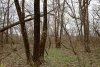 Перспективная ООПТ Новоджерелиевский лесопарк