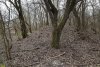 Курган на территории перспективной ООПТ Дубовая роща в хуторе Ленинский Путь