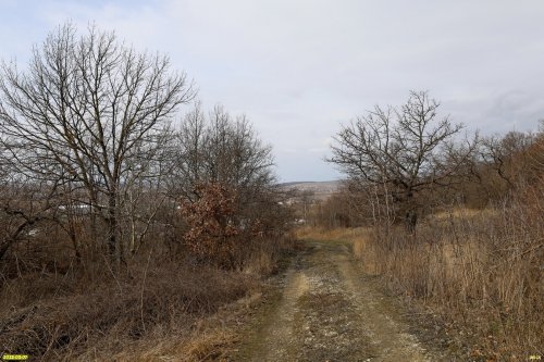 Перспективная ООПТ Гора Рожновского