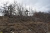 Перспективная ООПТ Восточно-Натухаевский лес