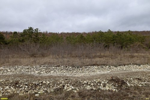 Перспективная ООПТ Восточно-Натухаевский лес