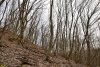 Перспективная ООПТ Долина реки Цевкая
