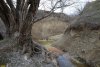 Перспективная ООПТ Долина реки Цевкая