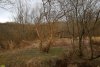 Перспективная ООПТ Долина реки Цевкая