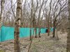Перспективная ООПТ Семигорский лес 