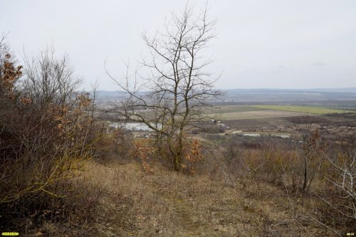 Перспективная ООПТ Гайкодзорский лес