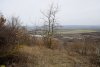 Перспективная ООПТ Гайкодзорский лес