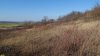 Перспективная ООПТ Шкуратский лес