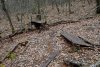Перспективная ООПТ Гайкодзорский лес