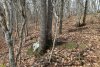 Перспективная ООПТ Гайкодзорский лес