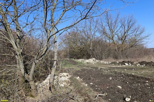 Перспективная ООПТ Шкуратский лес