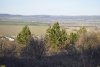Перспективная ООПТ Бужоро-Кодзорский лес