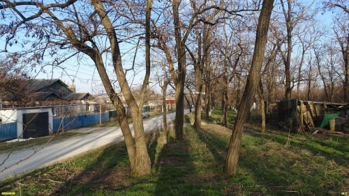 Перспективная ООПТ Южно-Уташский лес
