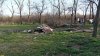 Захваты территории перспективной ООПТ Южно-Уташский лес