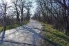 Перспективная ООПТ Южно-Уташский лес