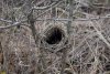 Перспективная ООПТ Южно-Уташский лес