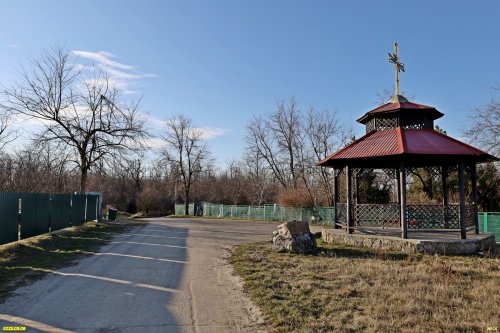 Перспективная ООПТ Западно-Уташский лес граничит с поселковым кладбищем