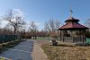 Перспективная ООПТ Западно-Уташский лес граничит с поселковым кладбищем