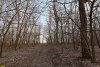 Перспективная ООПТ Западно-Уташский лес