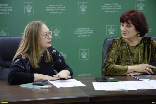 Говорит член Экспертного совета Юлия Набережная
