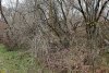 Перспективная ООПТ Пойма реки Ахтырь