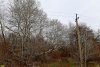 Перспективная ООПТ Пойма реки Ахтырь