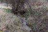 Перспективная ООПТ Пойма реки Абин