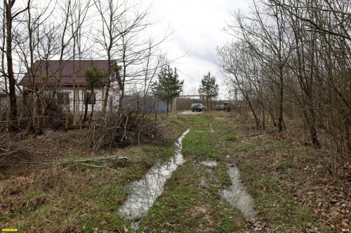 ООПТ Лес на улице Королёва (г.Апшеронск)