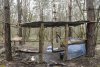 "Элементы благоустройства" в перспективной ООПТ Припшехский лес