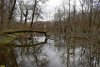 Перспективная ООПТ Припшехский лес