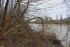 Река Пшеха в перспективной ООПТ Припшехский лес