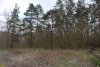 Перспективная ООПТ Припшехский лес