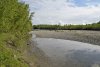 Перспективная ООПТ Пойма реки Пшеха в станице Кубанской