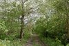 Перспективная ООПТ Тухинский лес
